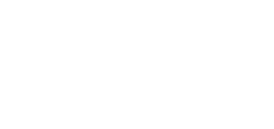Logo Domelly